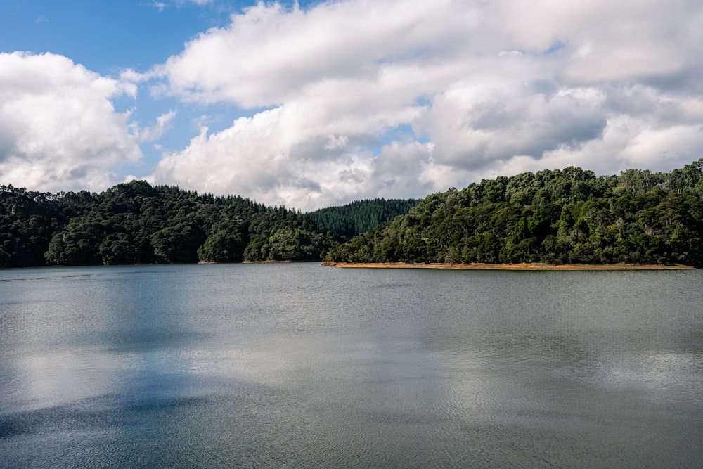 a large body of water surrounded by trees