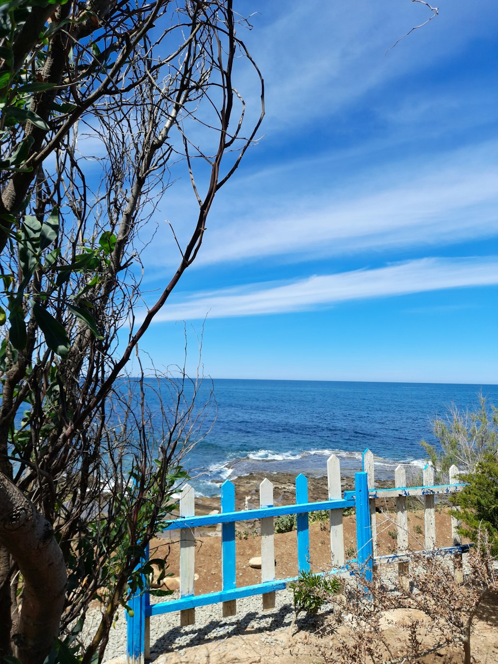 a view of the ocean from the top of a hill