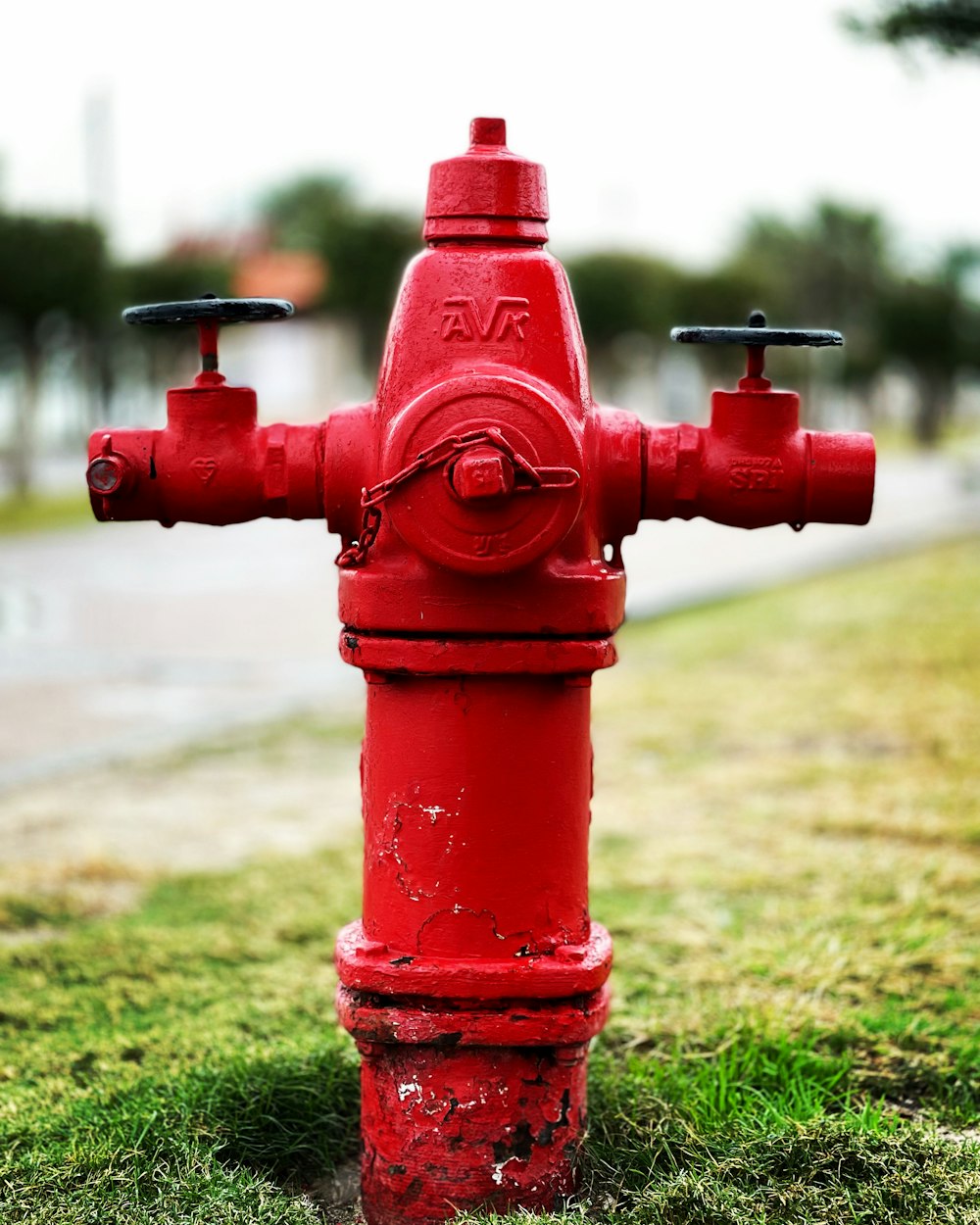 a red fire hydrant sitting on top of a lush green field