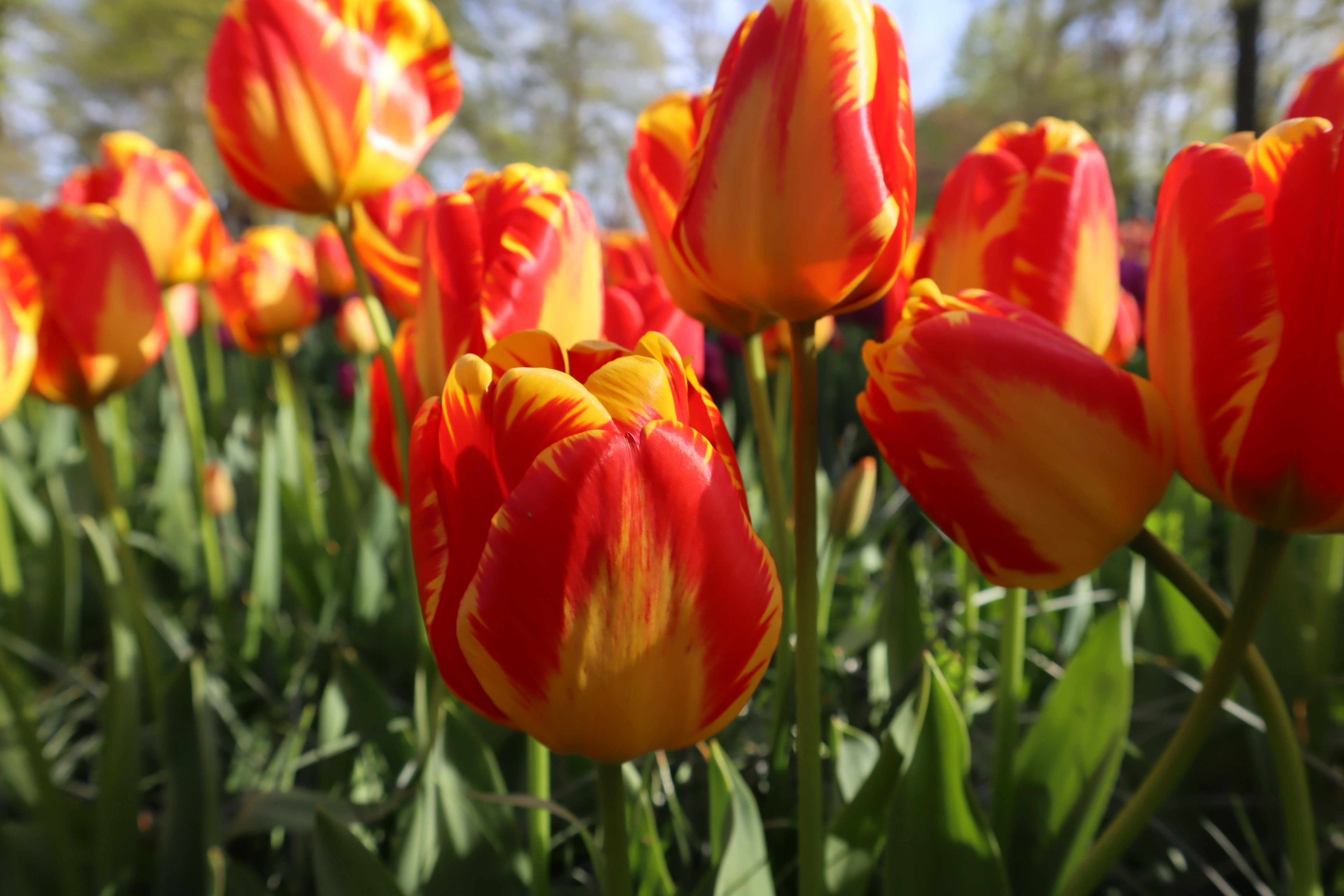 Photo by nellstephanj