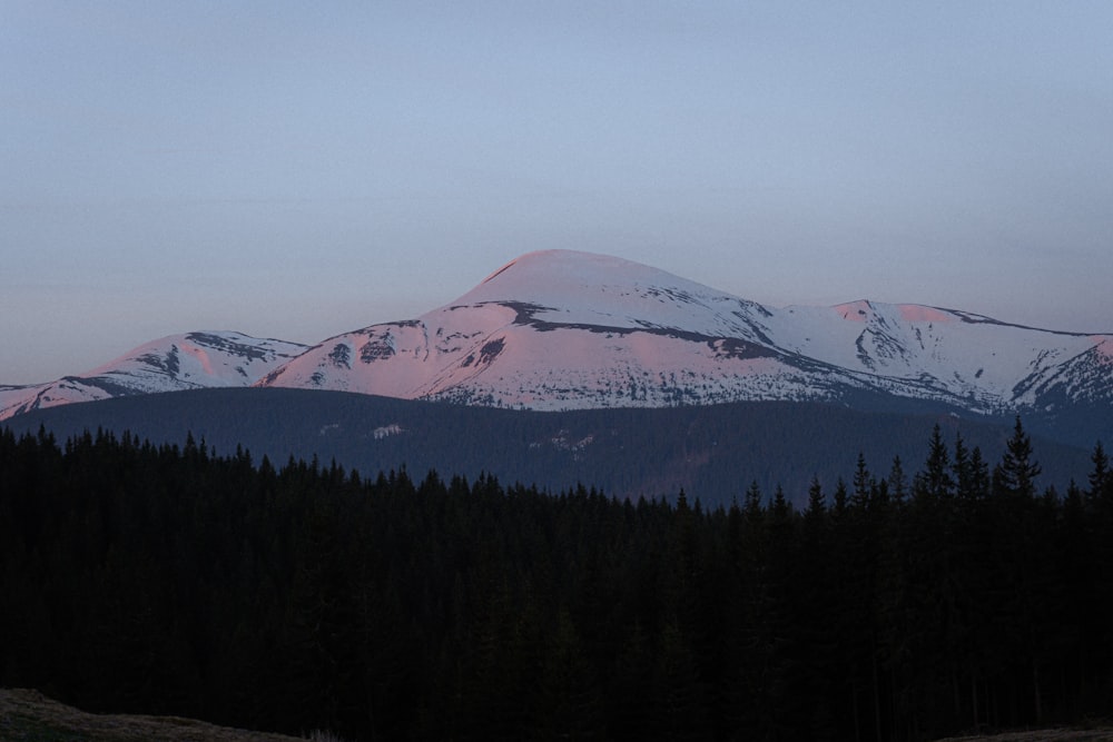 a snow covered mountain with trees in the foreground