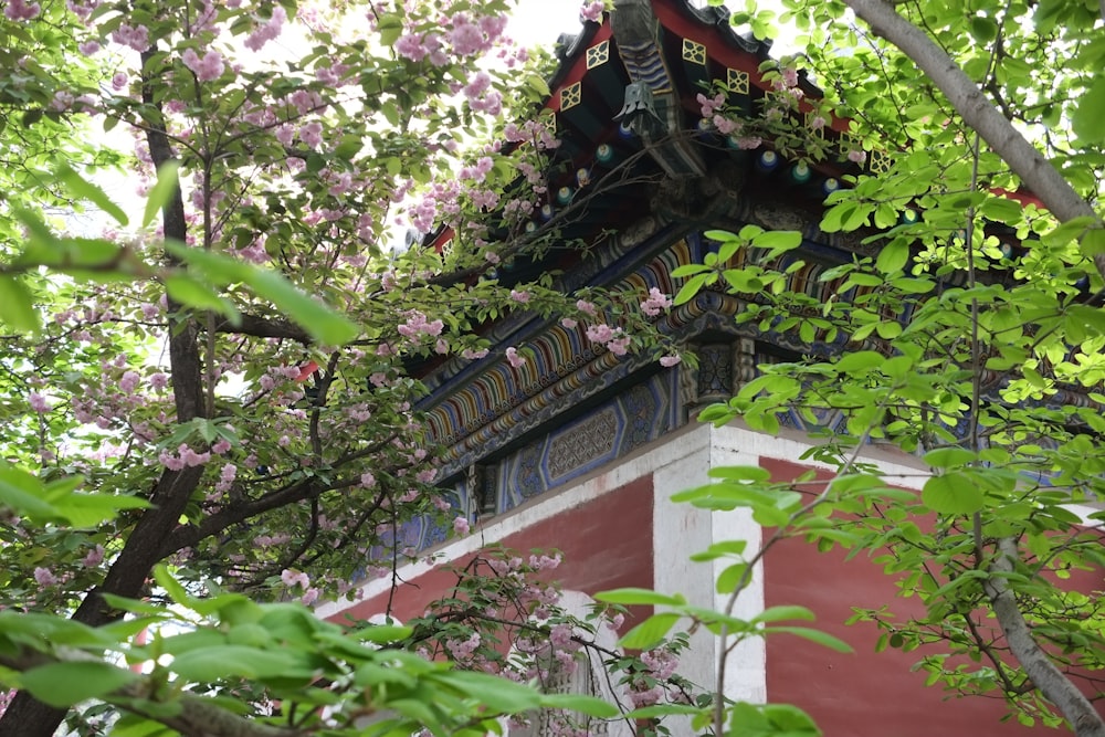 a tall building with a colorful roof surrounded by trees