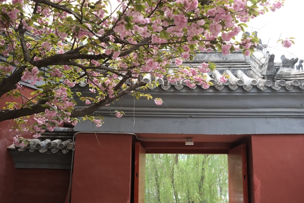 a tree with pink flowers in front of a building