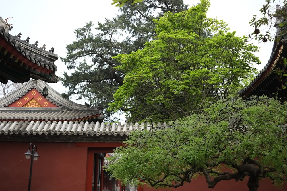 a tree in front of a red building