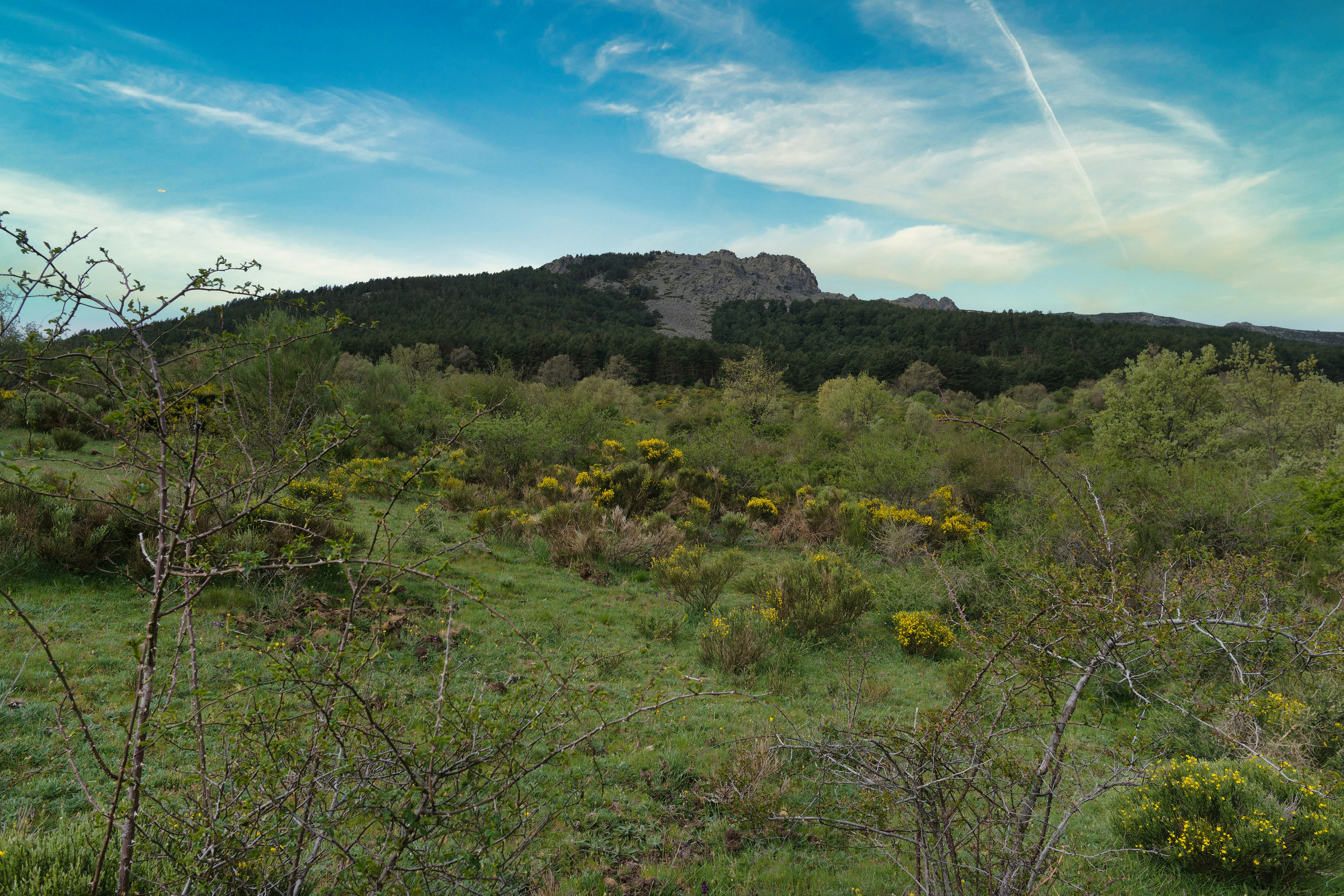 Image by piotr sawejko via Unsplash