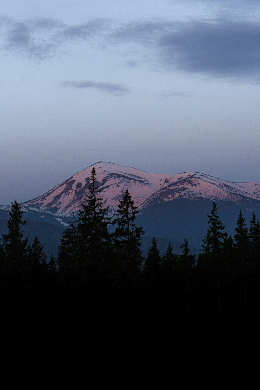 a view of a mountain range with trees in the foreground