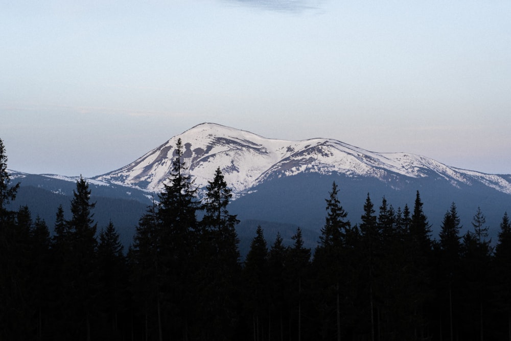 a view of a snowy mountain with trees in the foreground