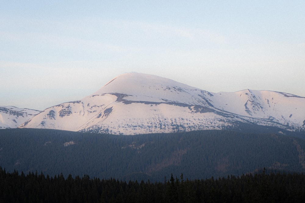 a snow covered mountain with trees in the foreground