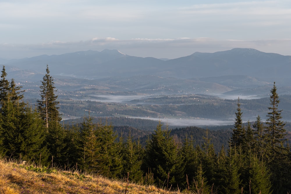 a view of a mountain range with a foggy valley in the distance