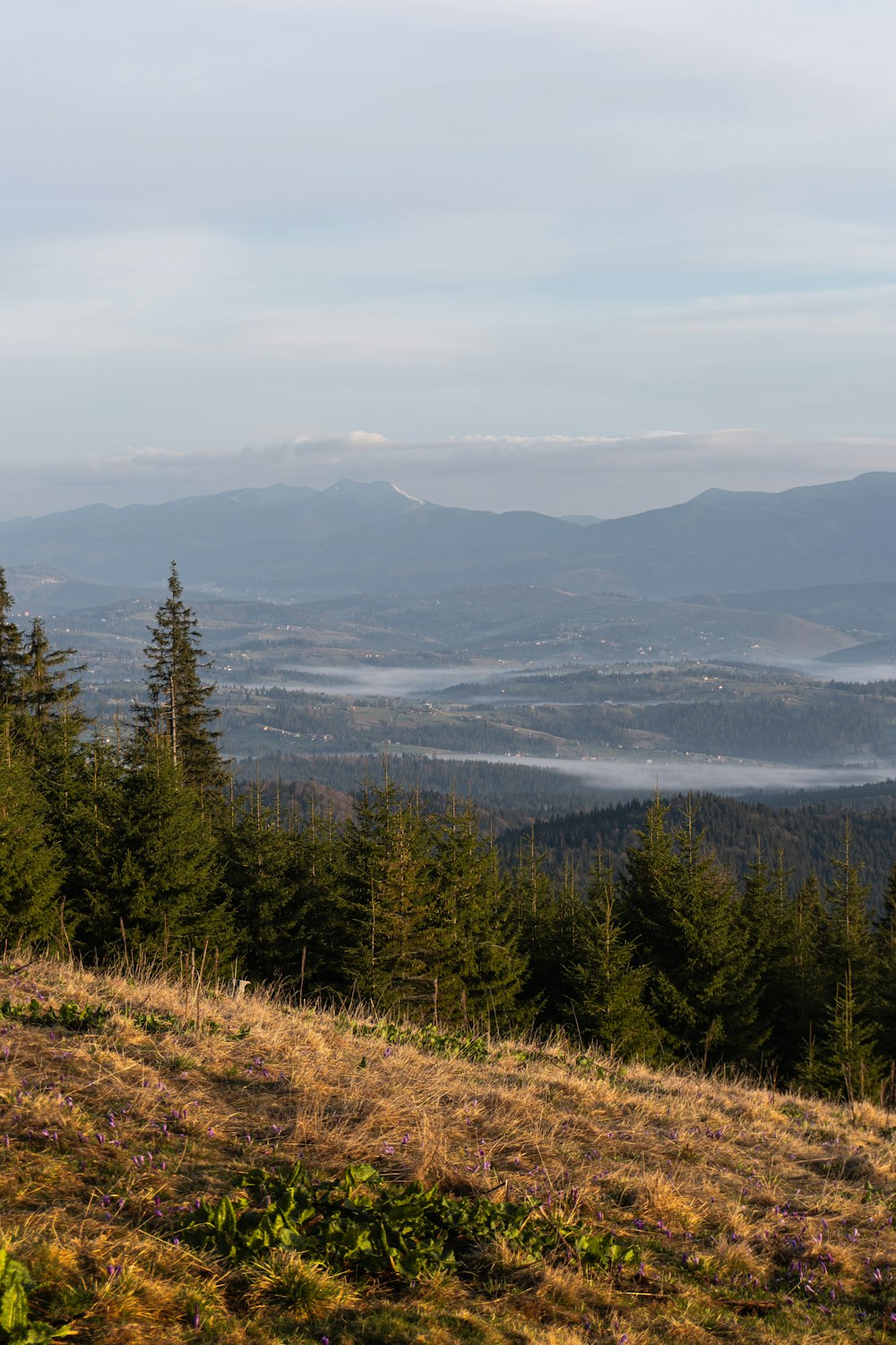 a view of a valley and mountains from a hill