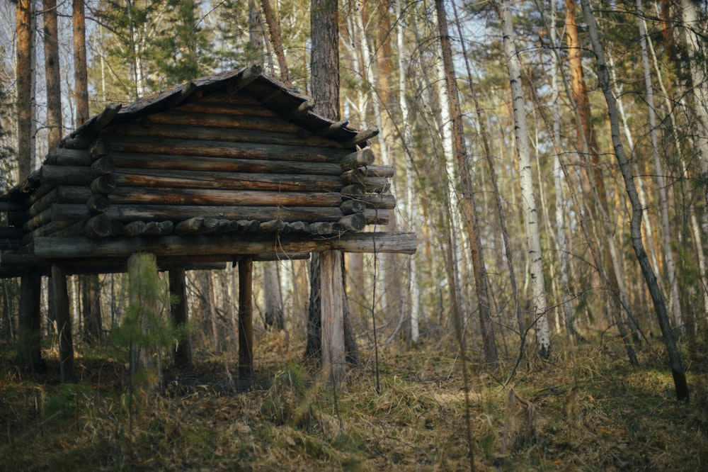 a log cabin in the middle of a forest