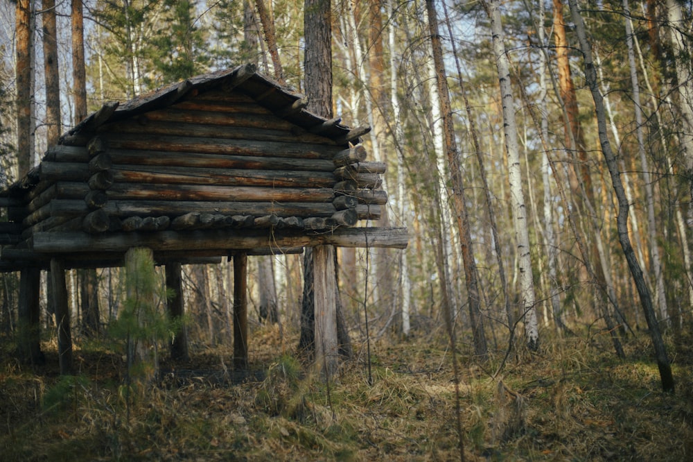 eine Blockhütte mitten im Wald