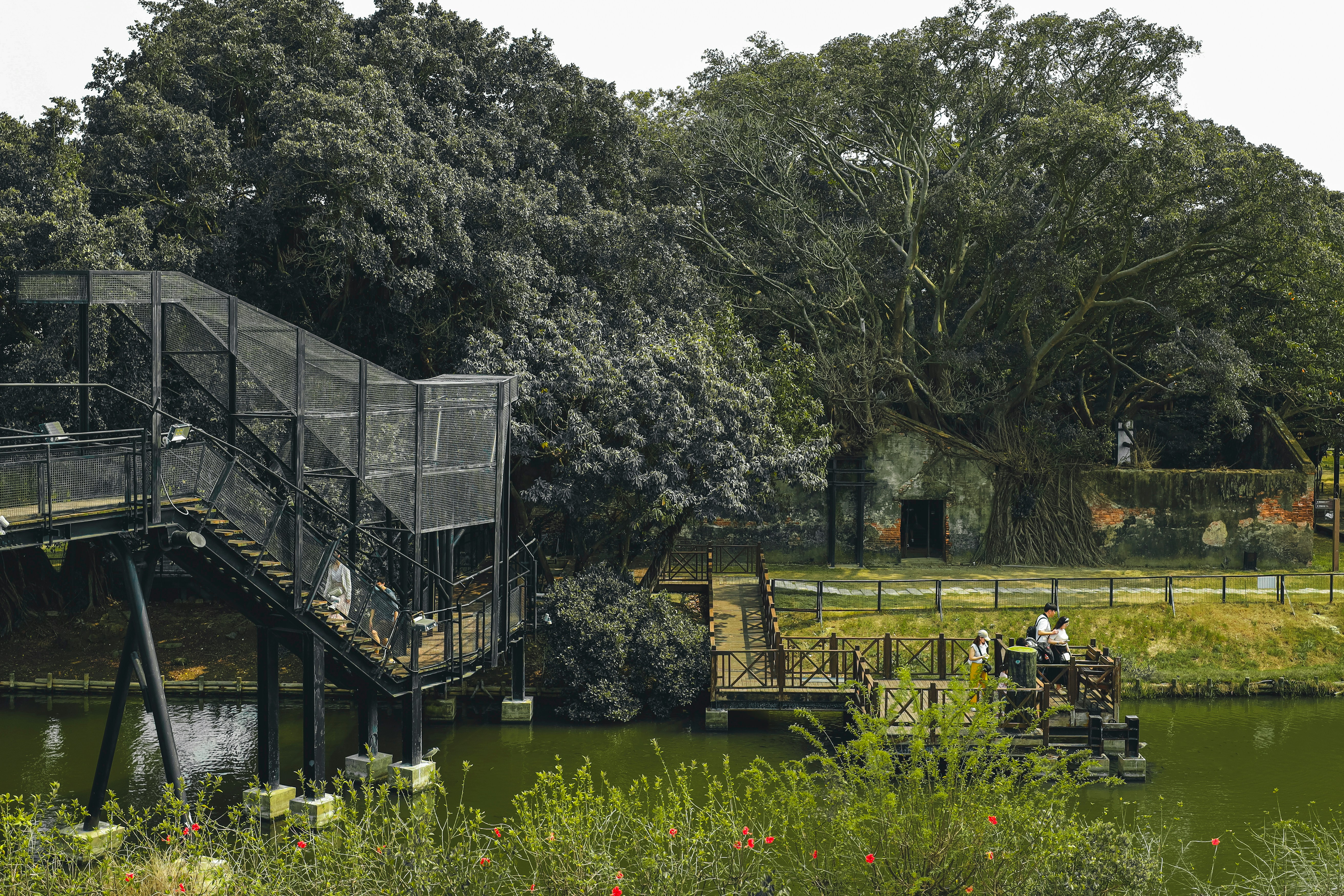 a bridge over a body of water surrounded by trees