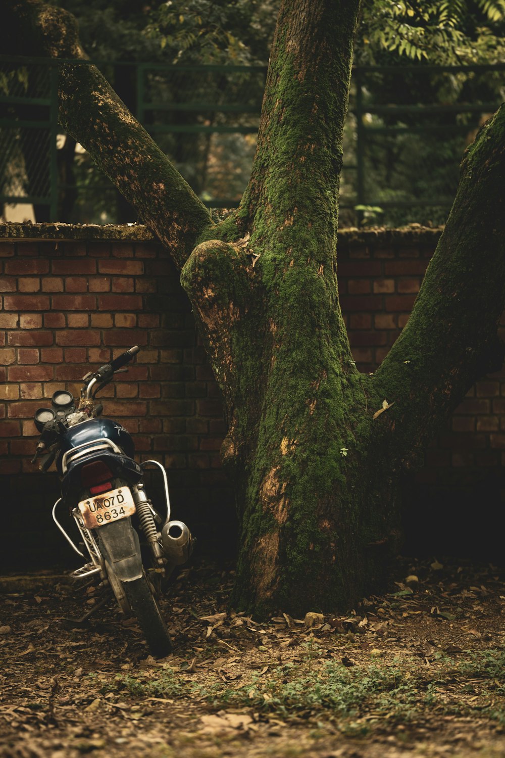 a motorcycle parked in front of a tree
