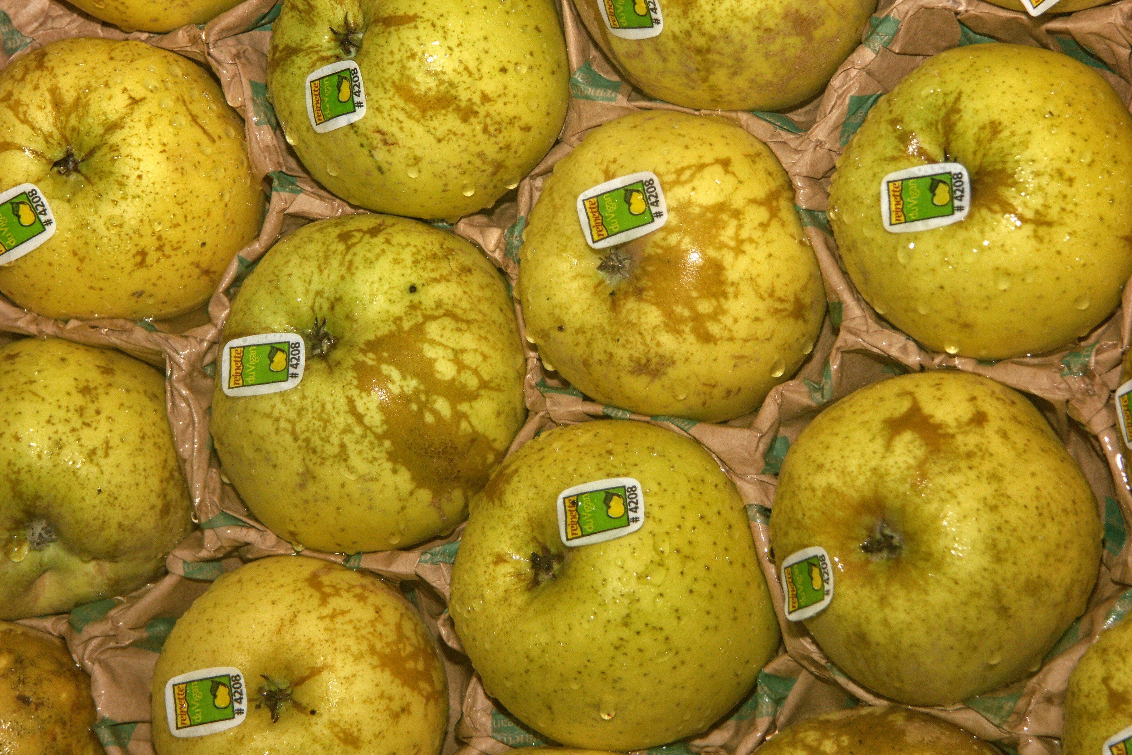 1 Français sur 2 reçoit encore des appels de démarchage illégaux