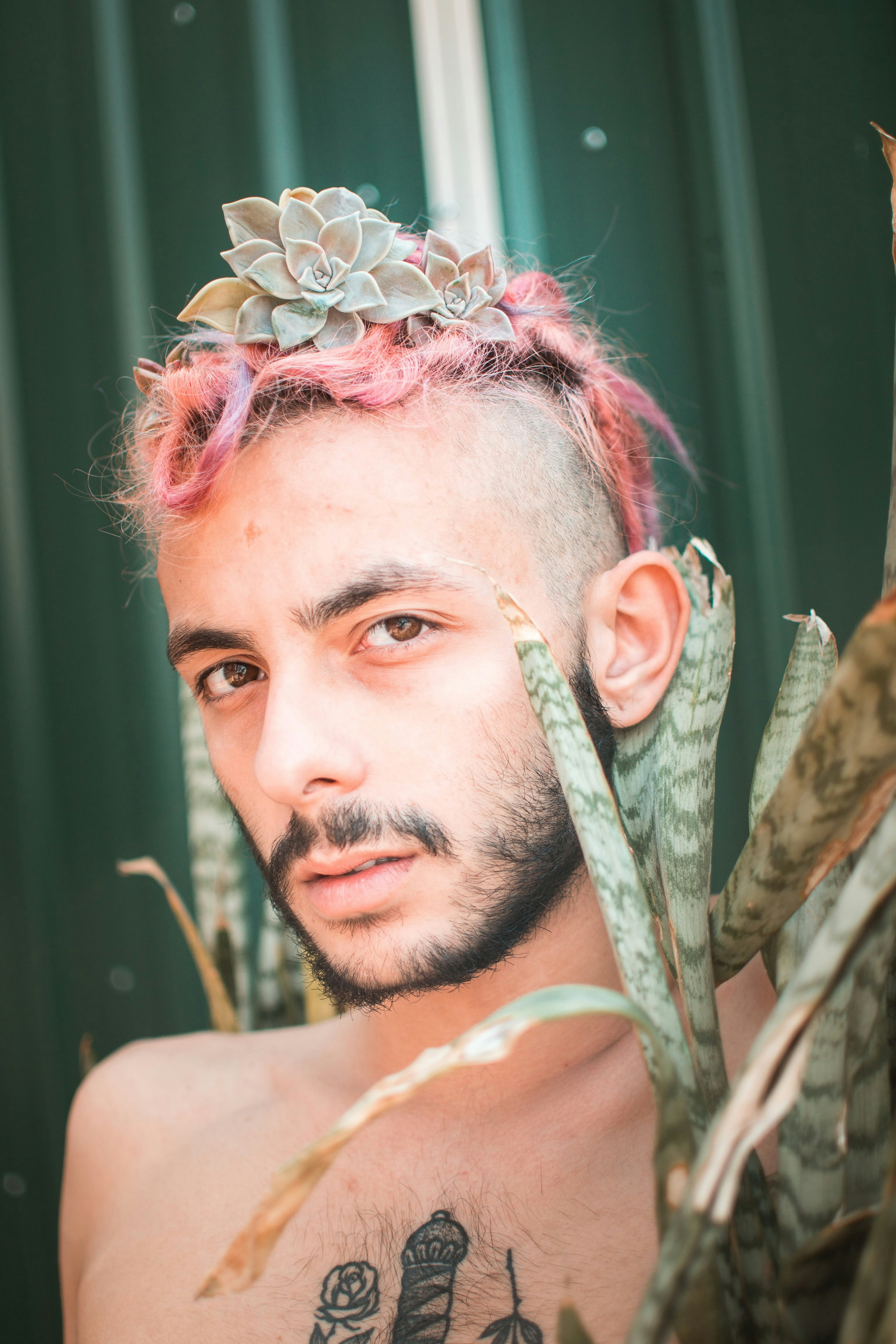 A person with short pink hair, a scruffy beard, and a chest tattoo looks at the camera from behind a plant.