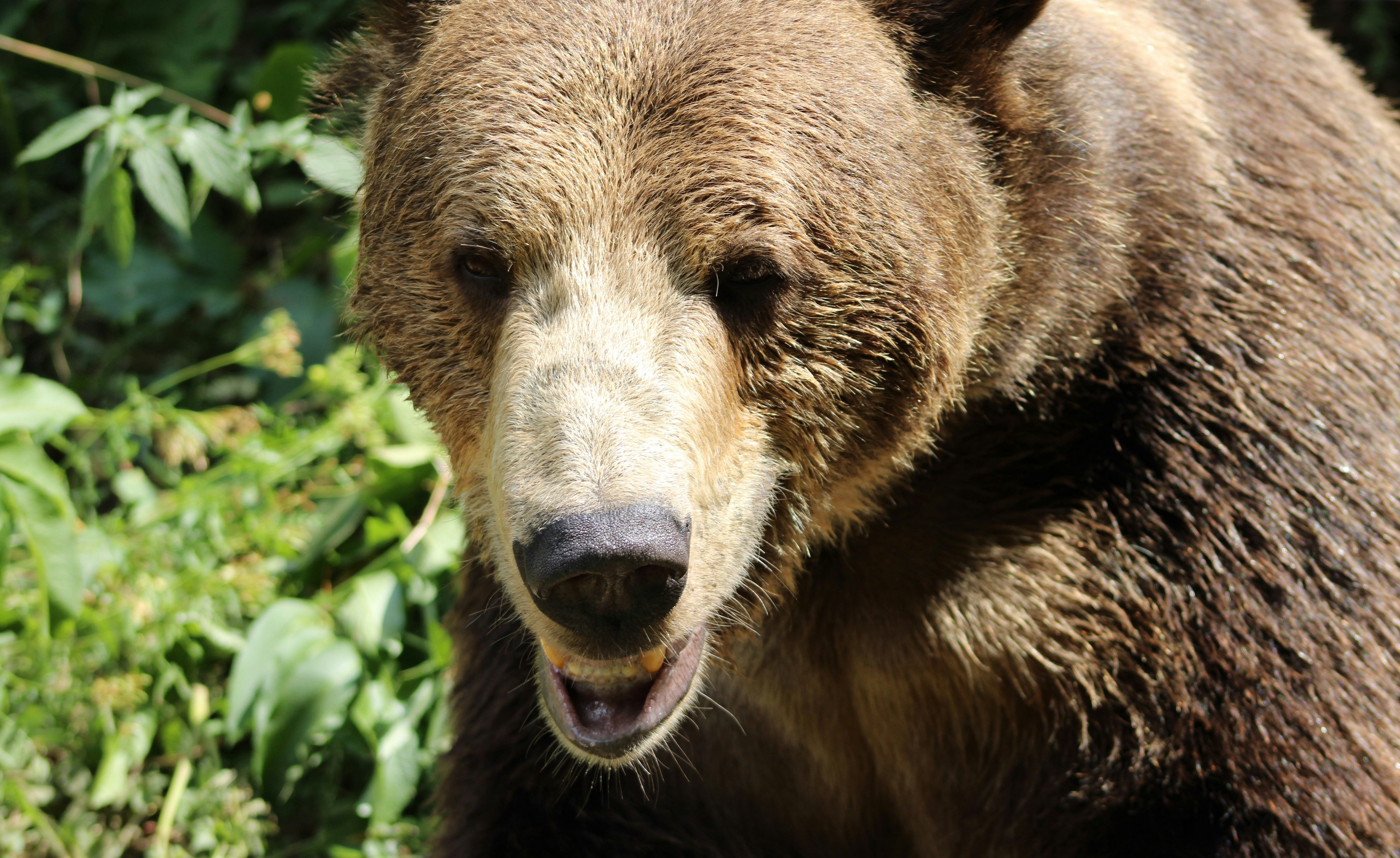 Photo by gstefanova22