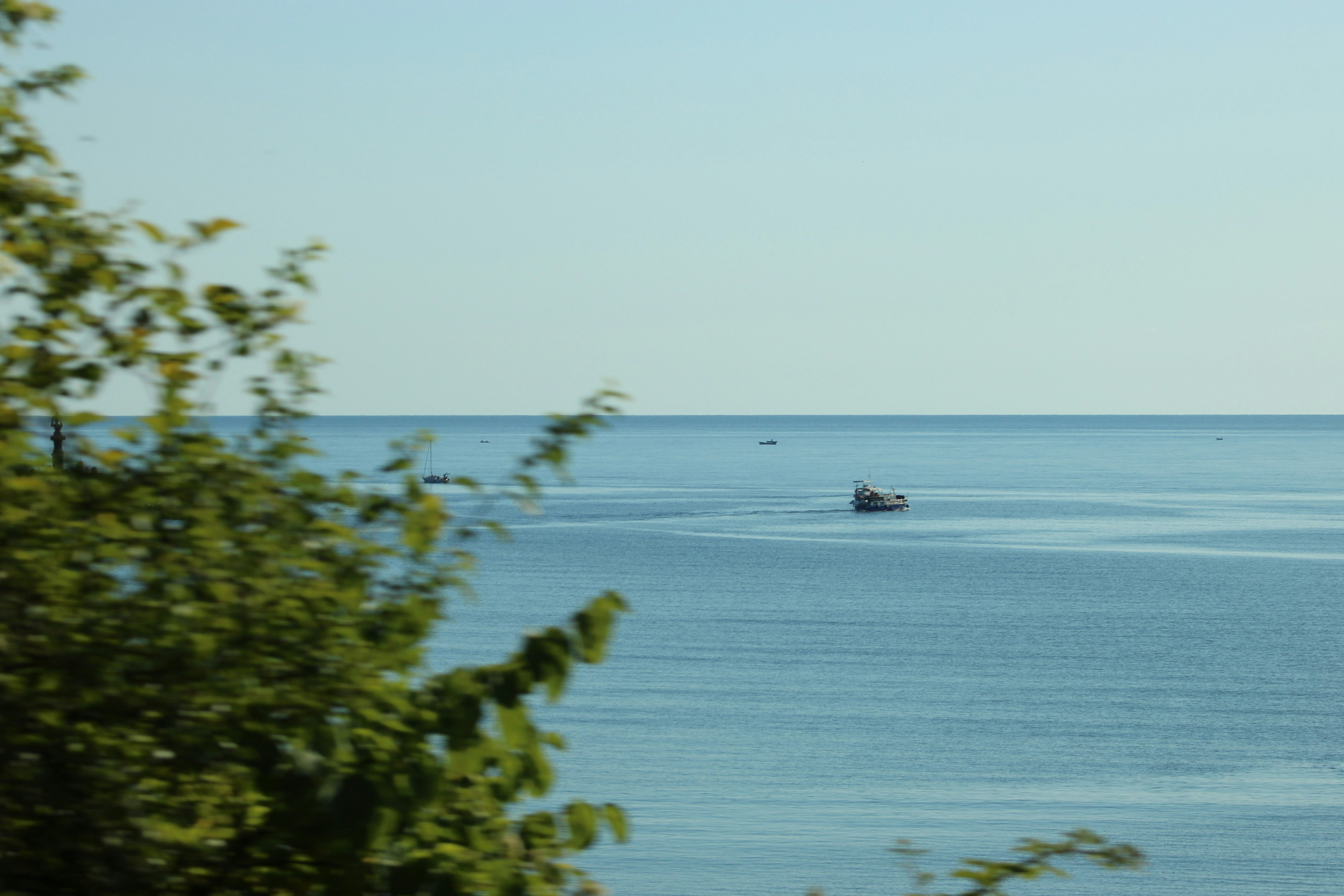 Photo by gstefanova22