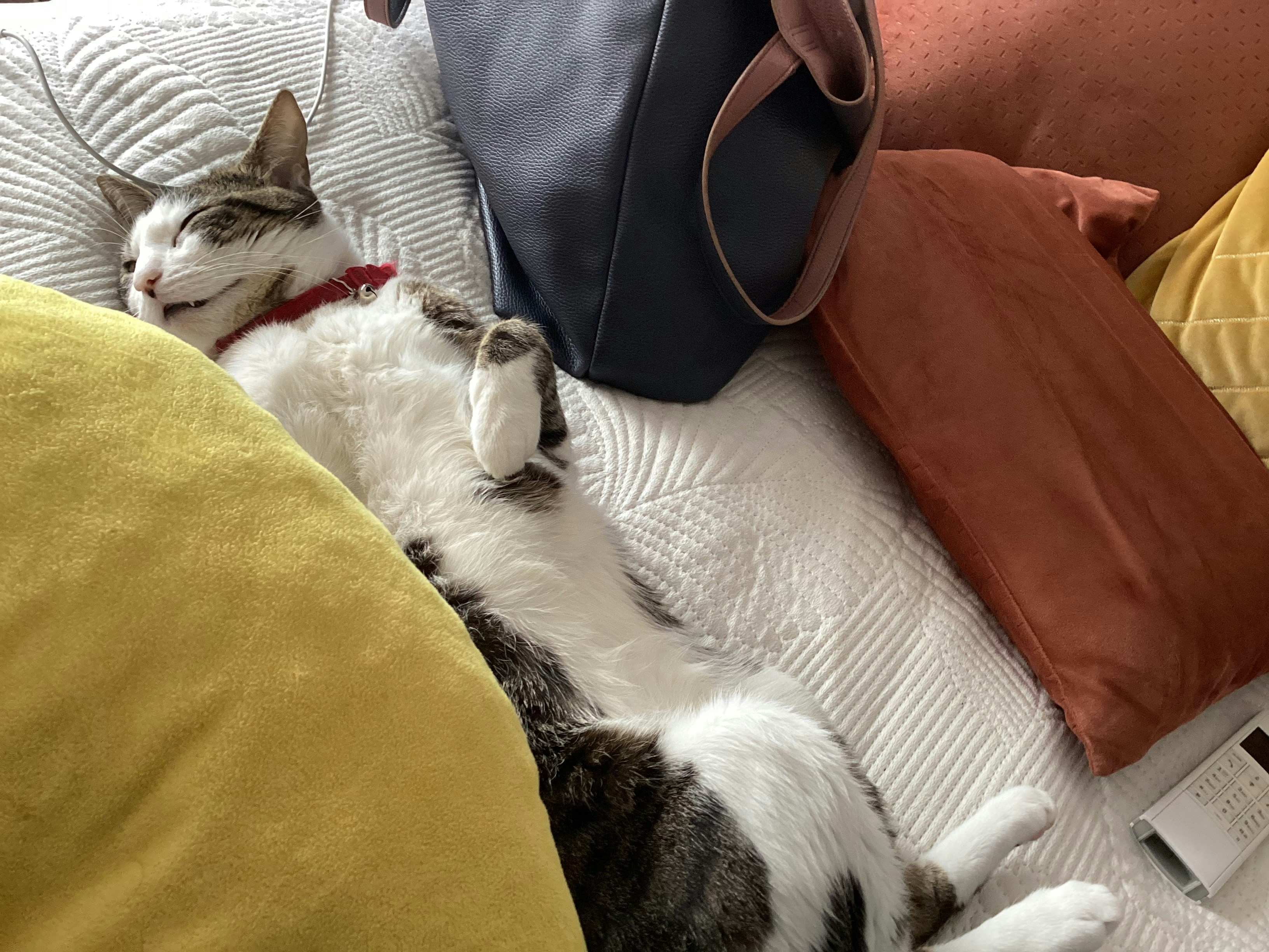 Pónganse cómodos Post feature image