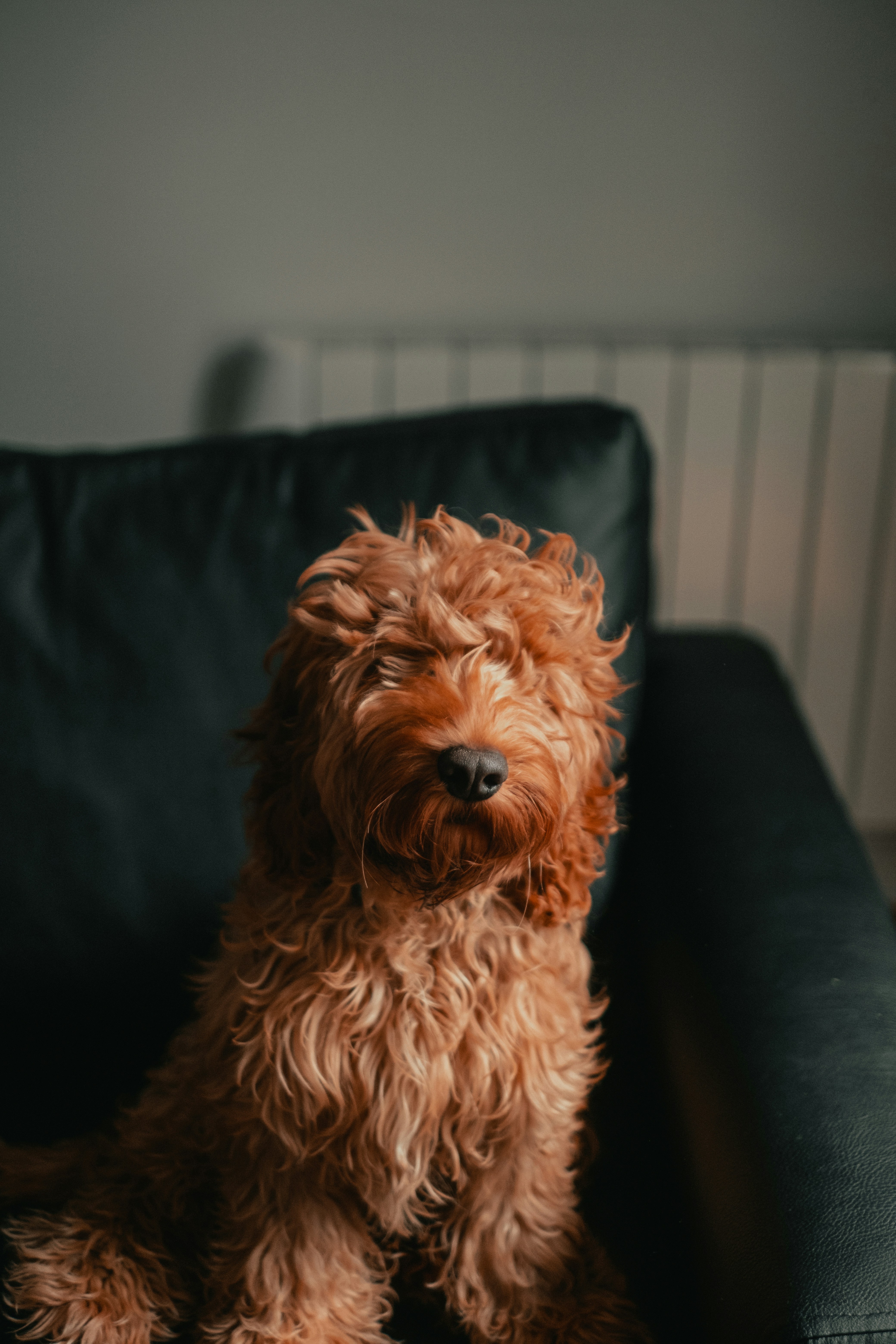 Photo by tamarabadran