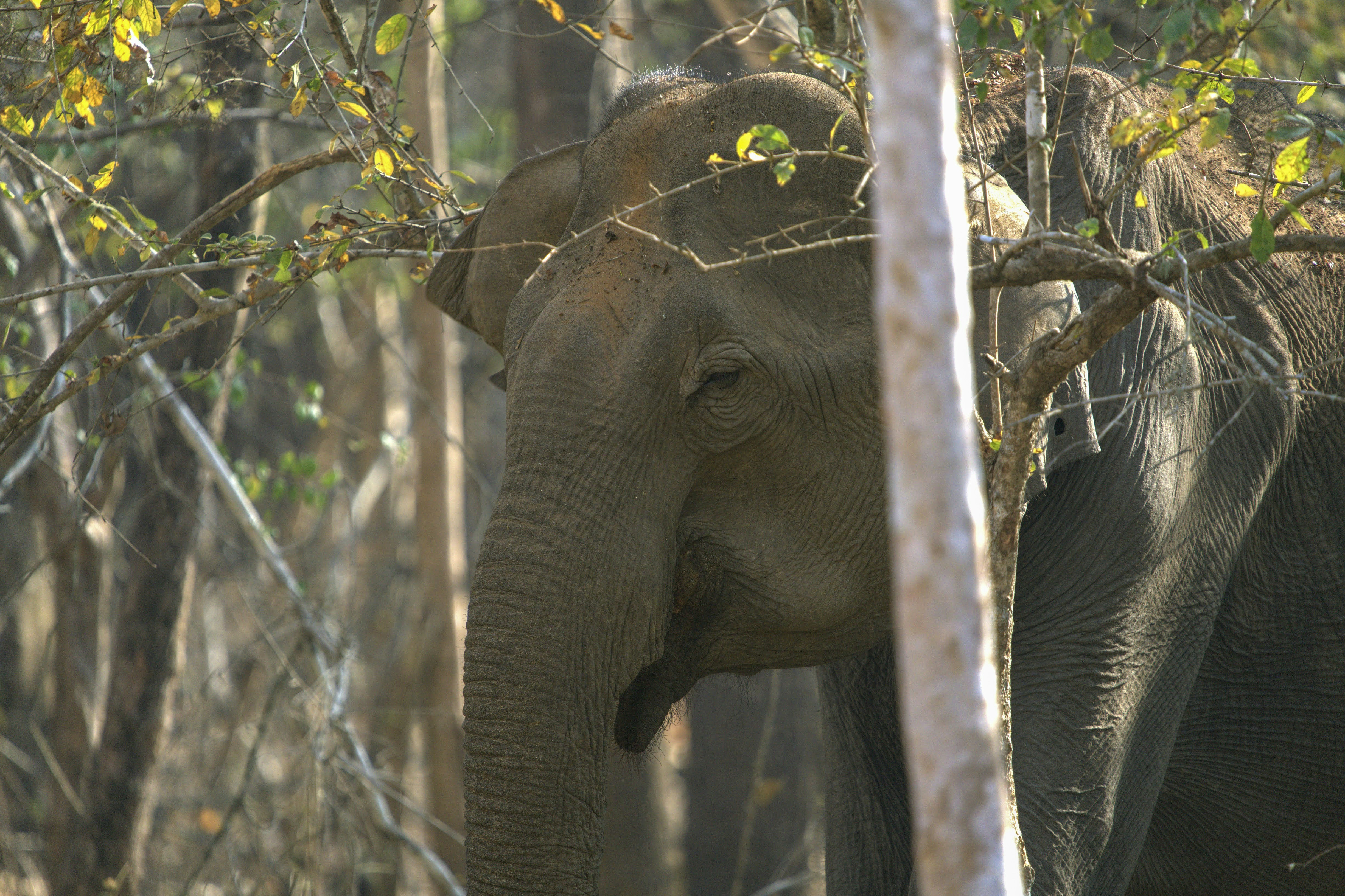 Photo by vatsalparekh