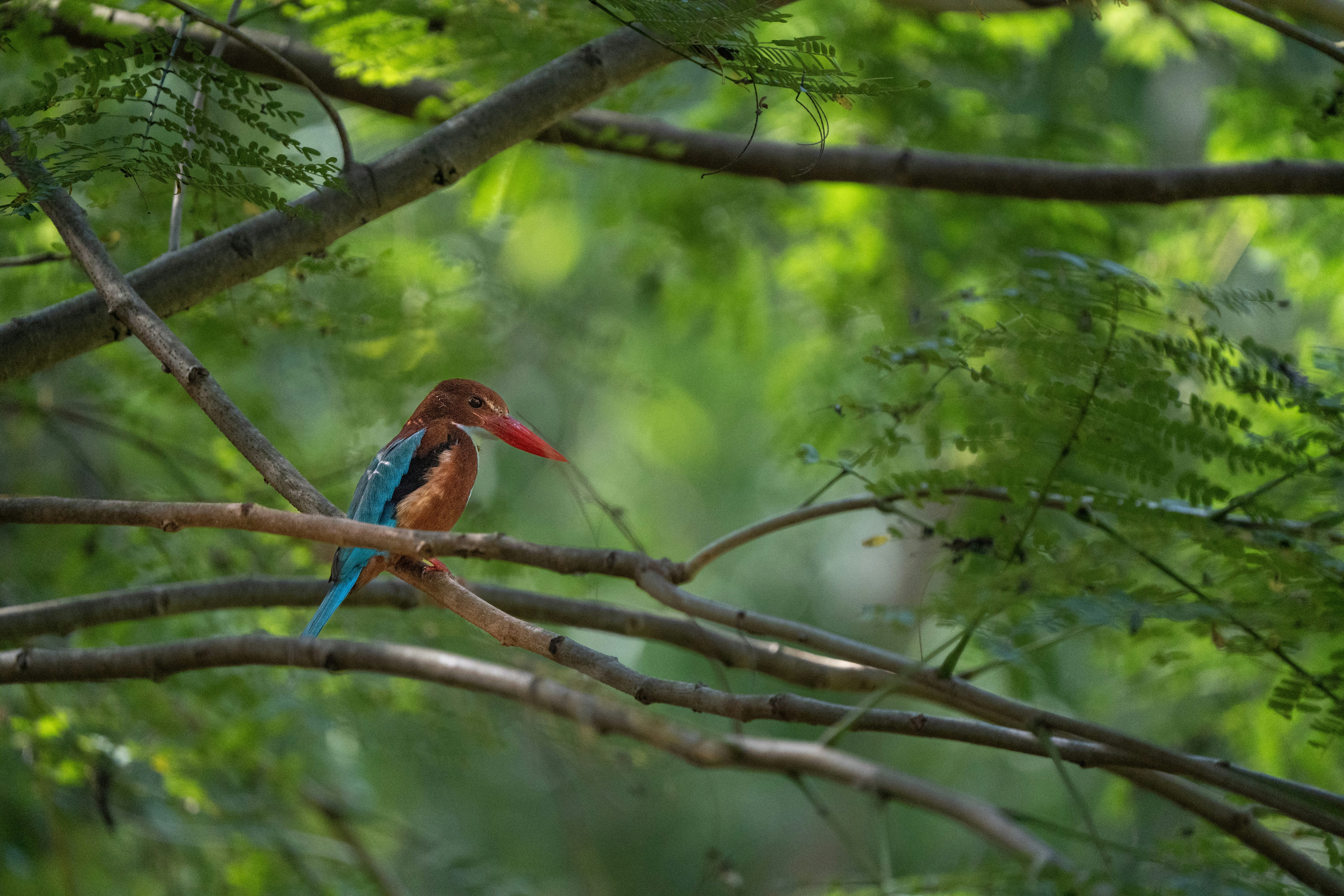 Photo by vatsalparekh