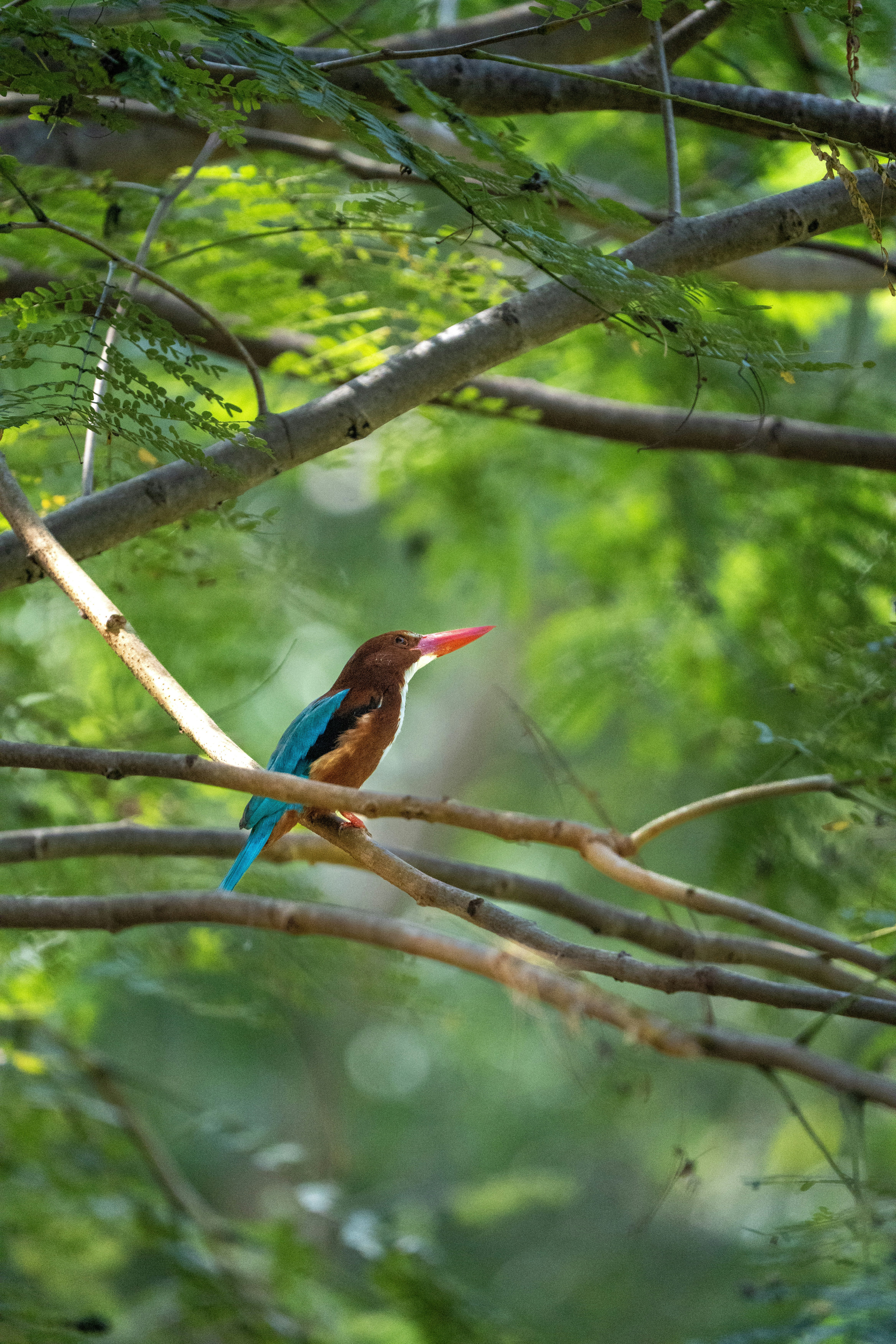 Photo by vatsalparekh