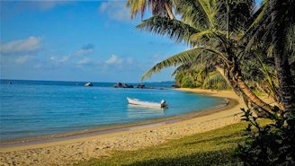 a boat is sitting on the shore of a tropical beach