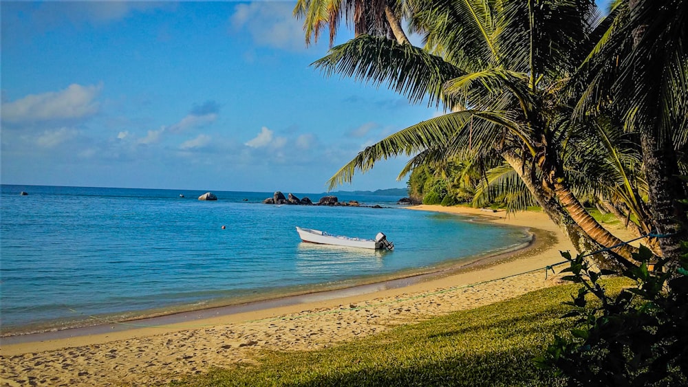 a boat is sitting on the shore of a tropical beach