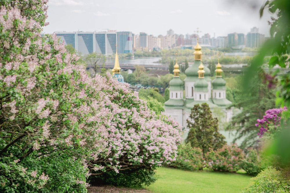 a view of a city from a park