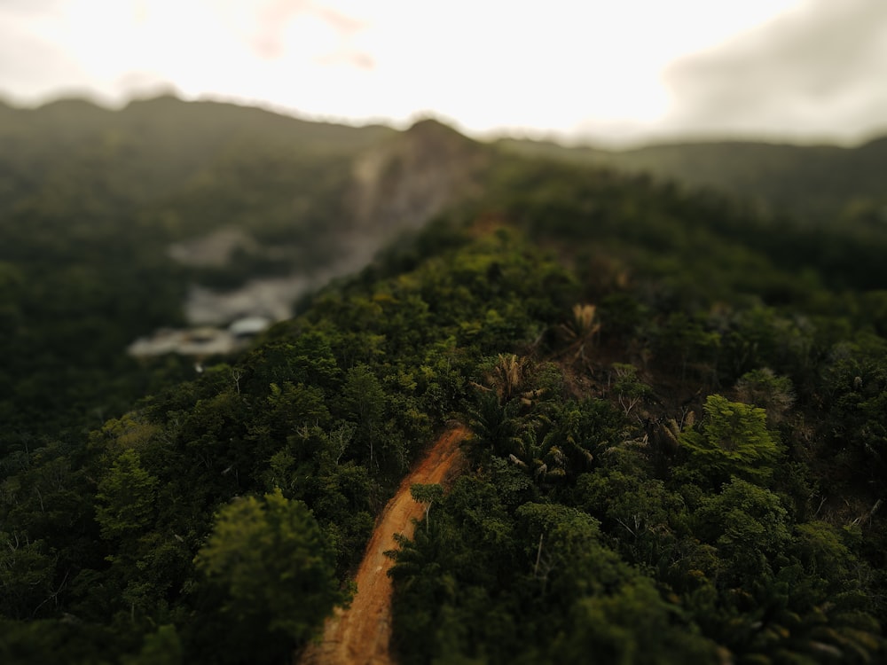 an aerial view of a dirt road surrounded by trees