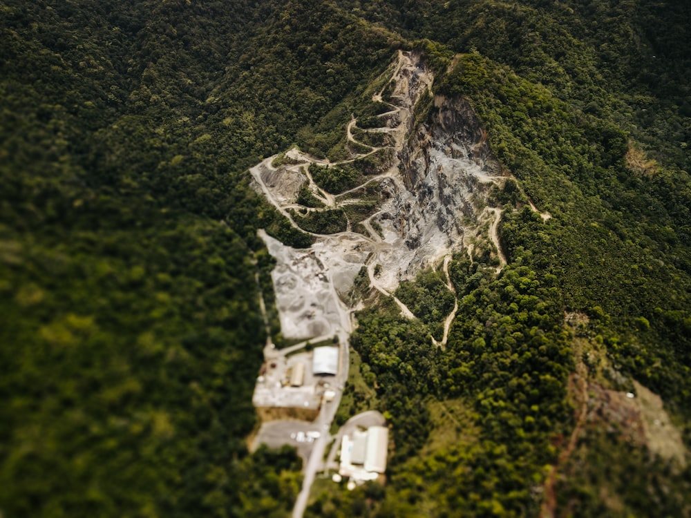 an aerial view of a forest area with a mountain in the background