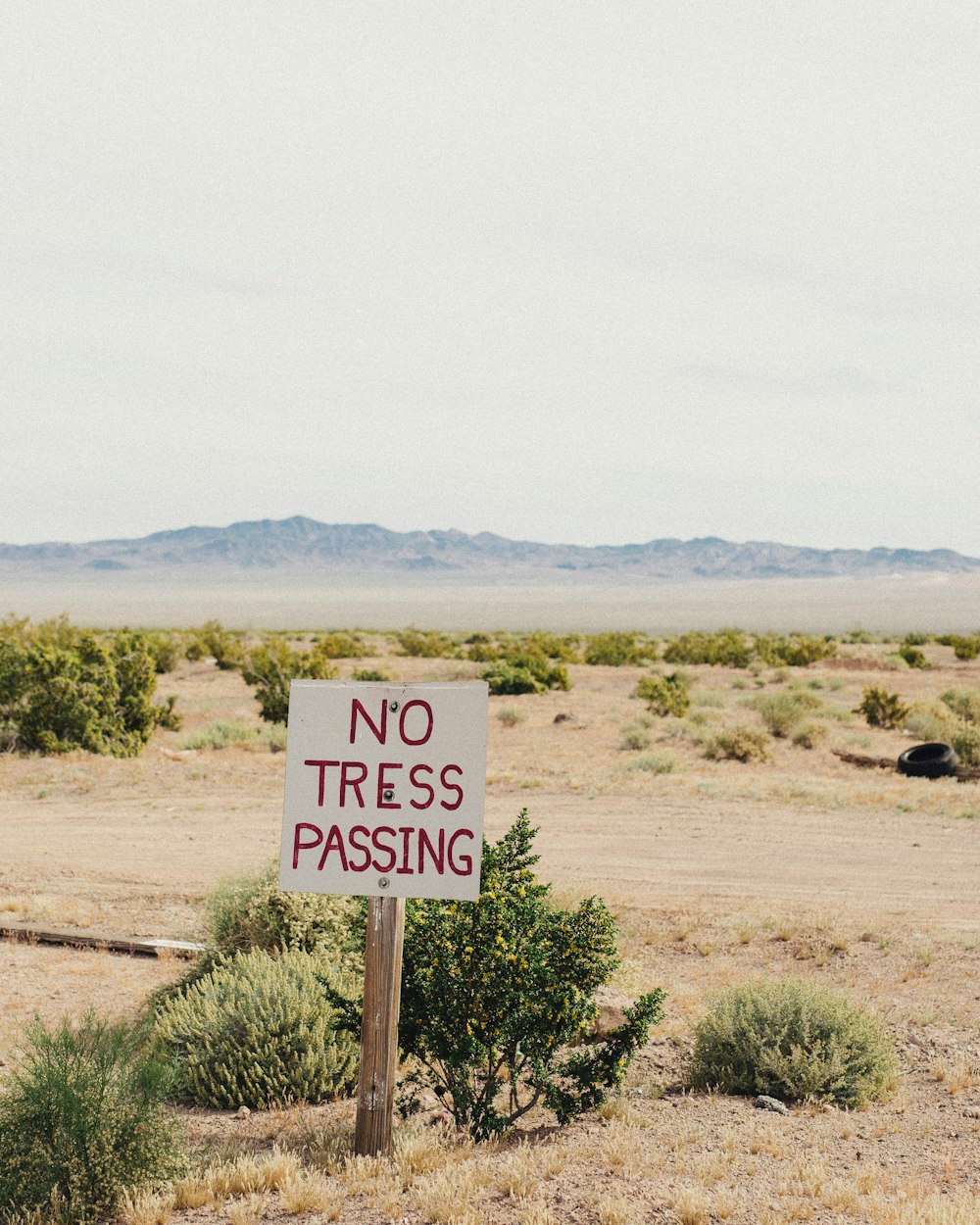 a no tress passing sign in the middle of nowhere