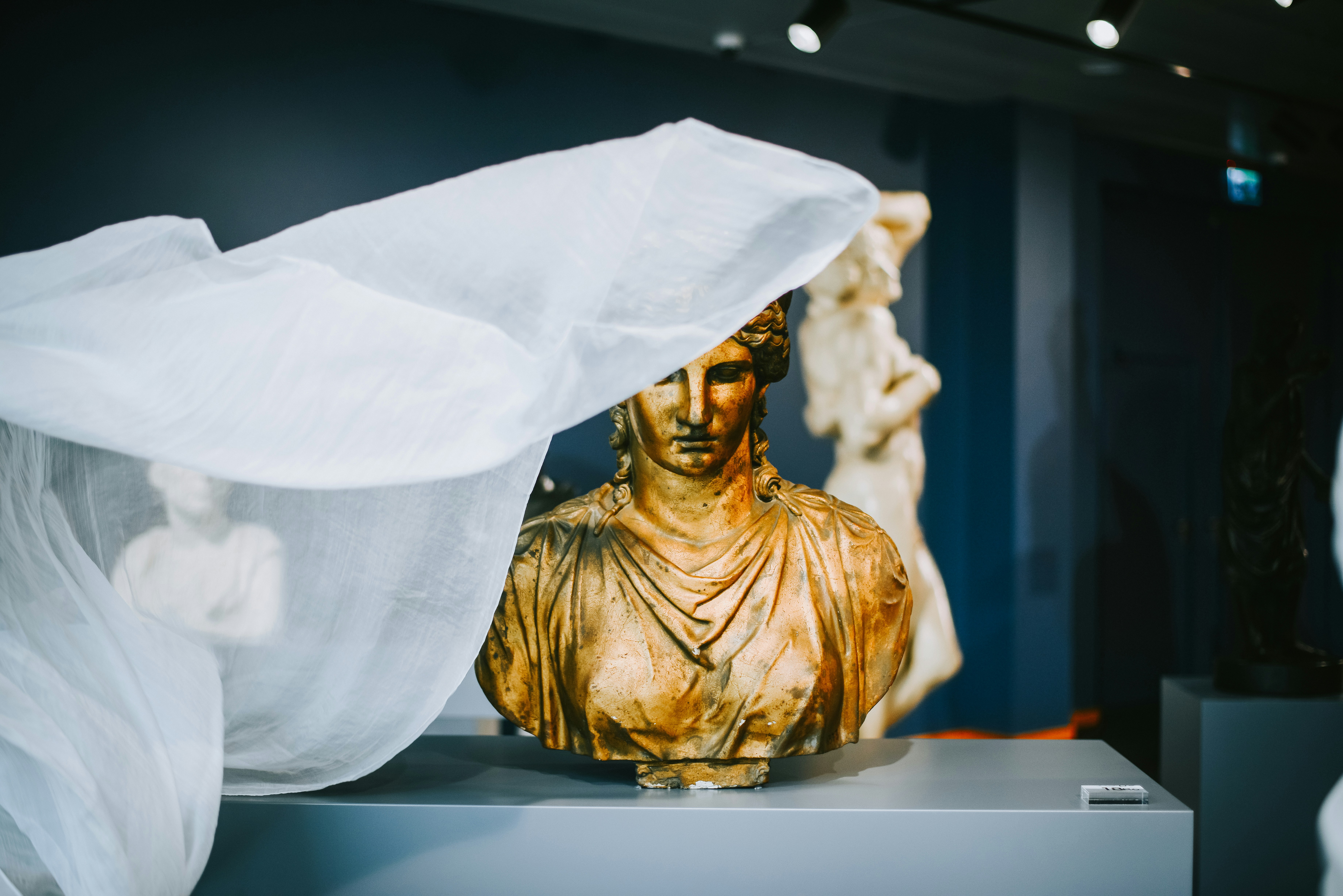 Enheduanna: the forgotten woman writer