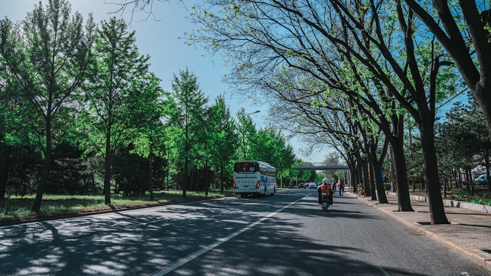 a bus driving down a tree lined street
