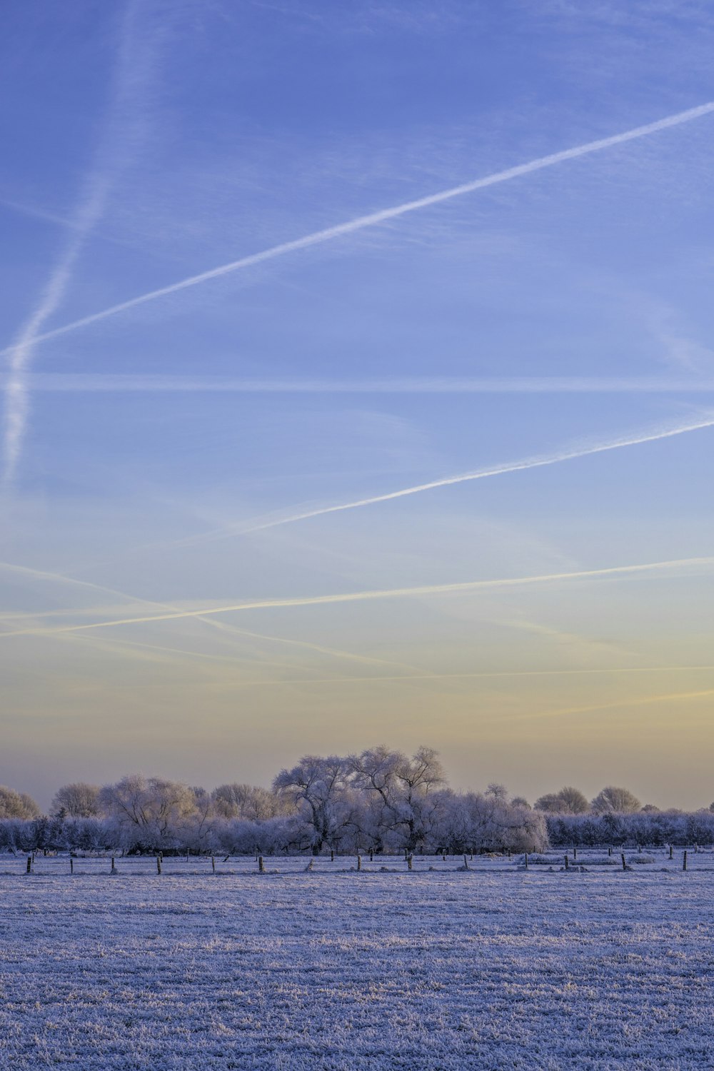 a snowy field with trees and contrails in the sky