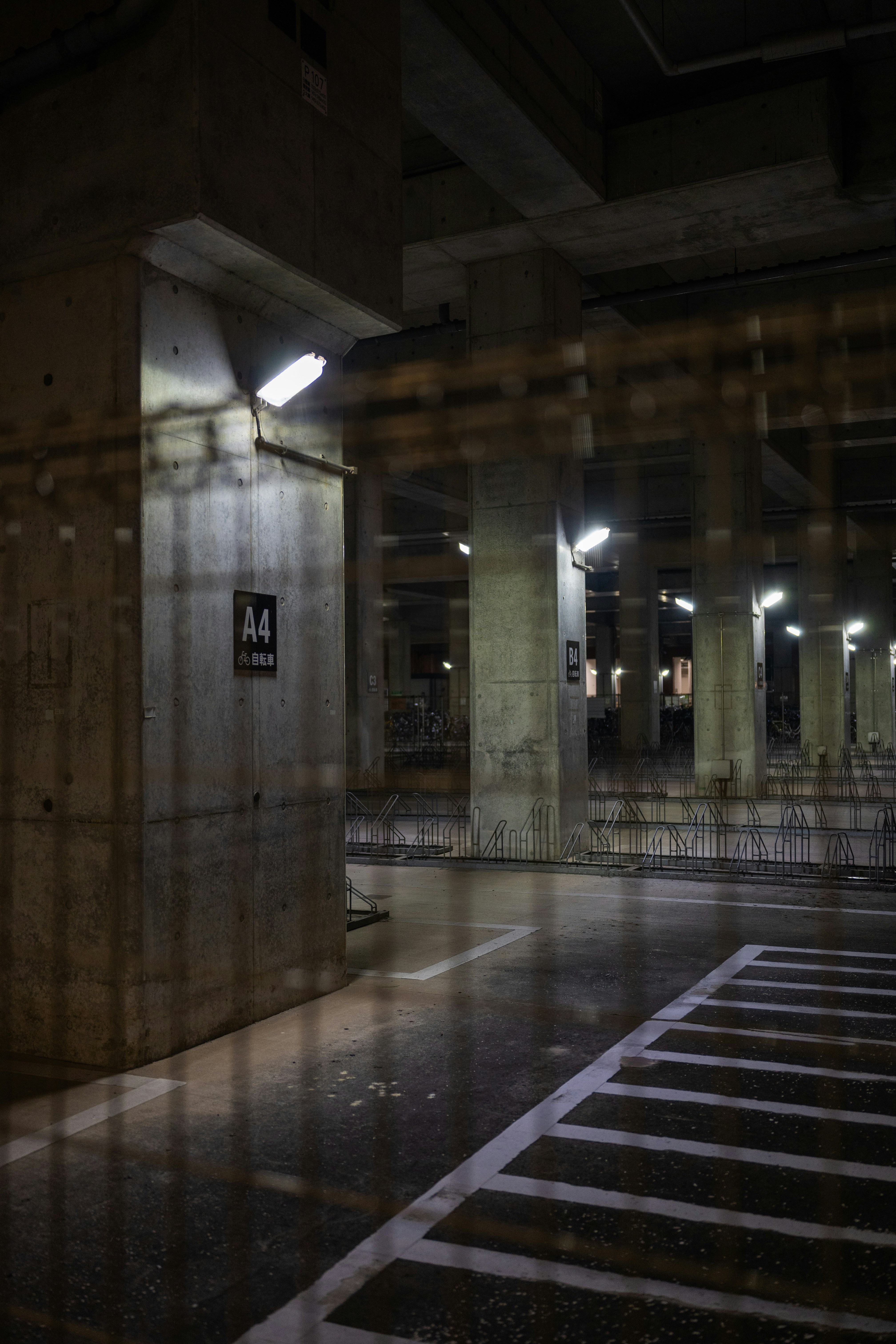 Photo by pafuxu