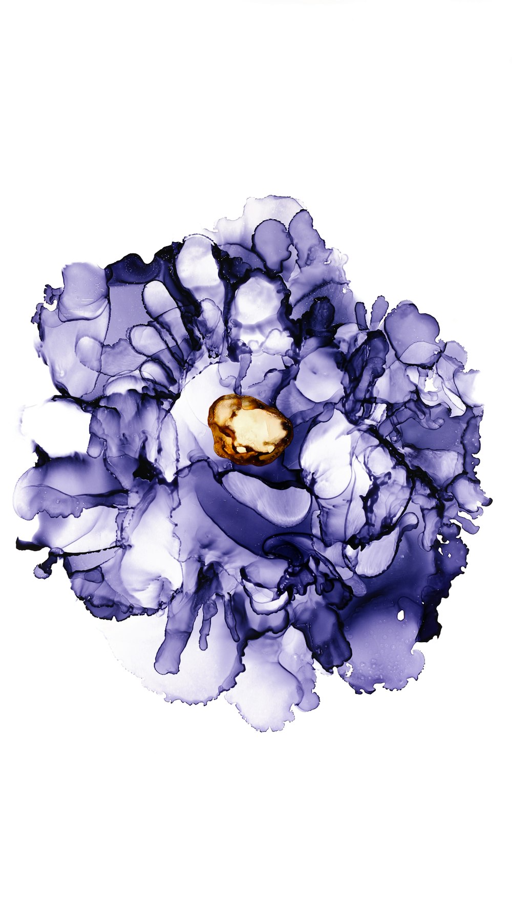 una flor azul y blanca con un anillo de oro