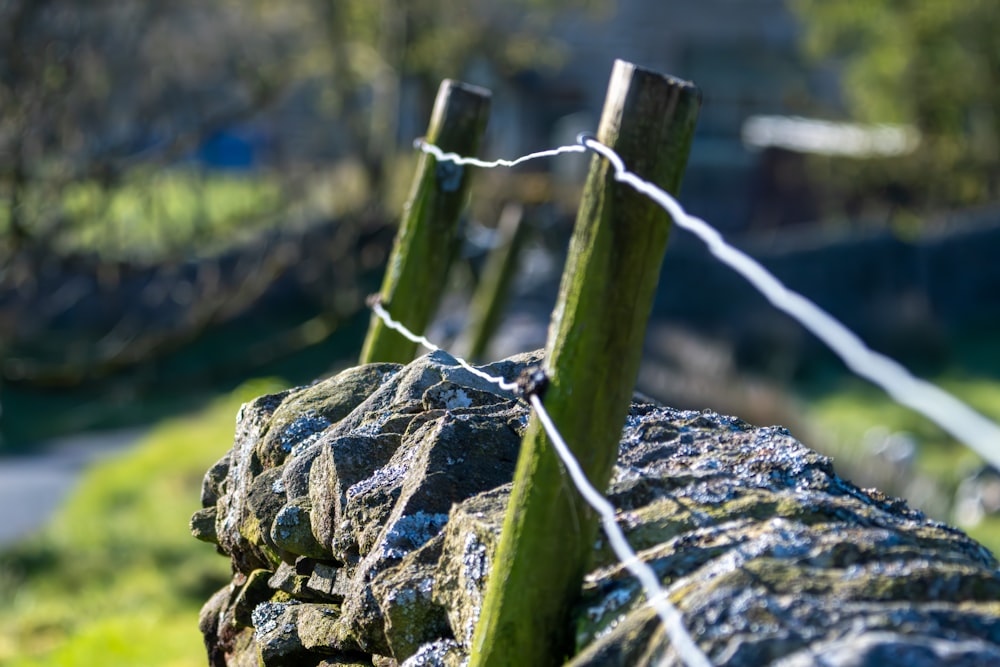 a rock with a wire fence around it