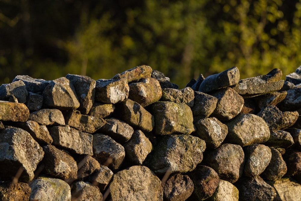 a pile of rocks sitting next to a forest