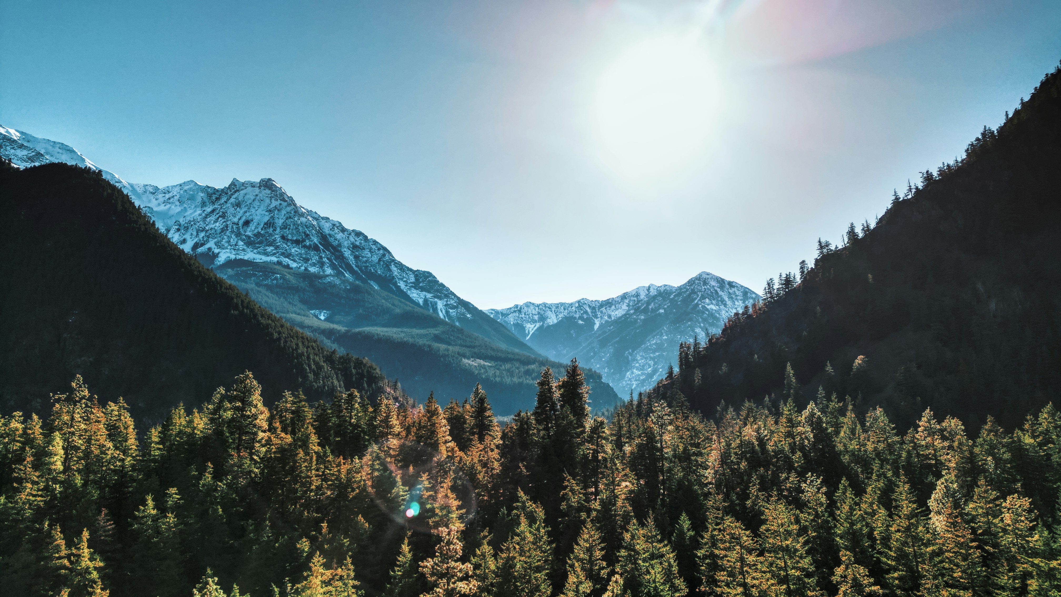 Photo by dcanadianphotographer