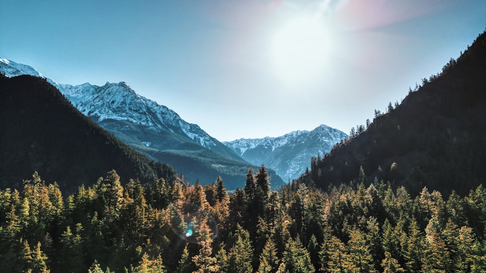 Il sole splende sulle montagne e sugli alberi