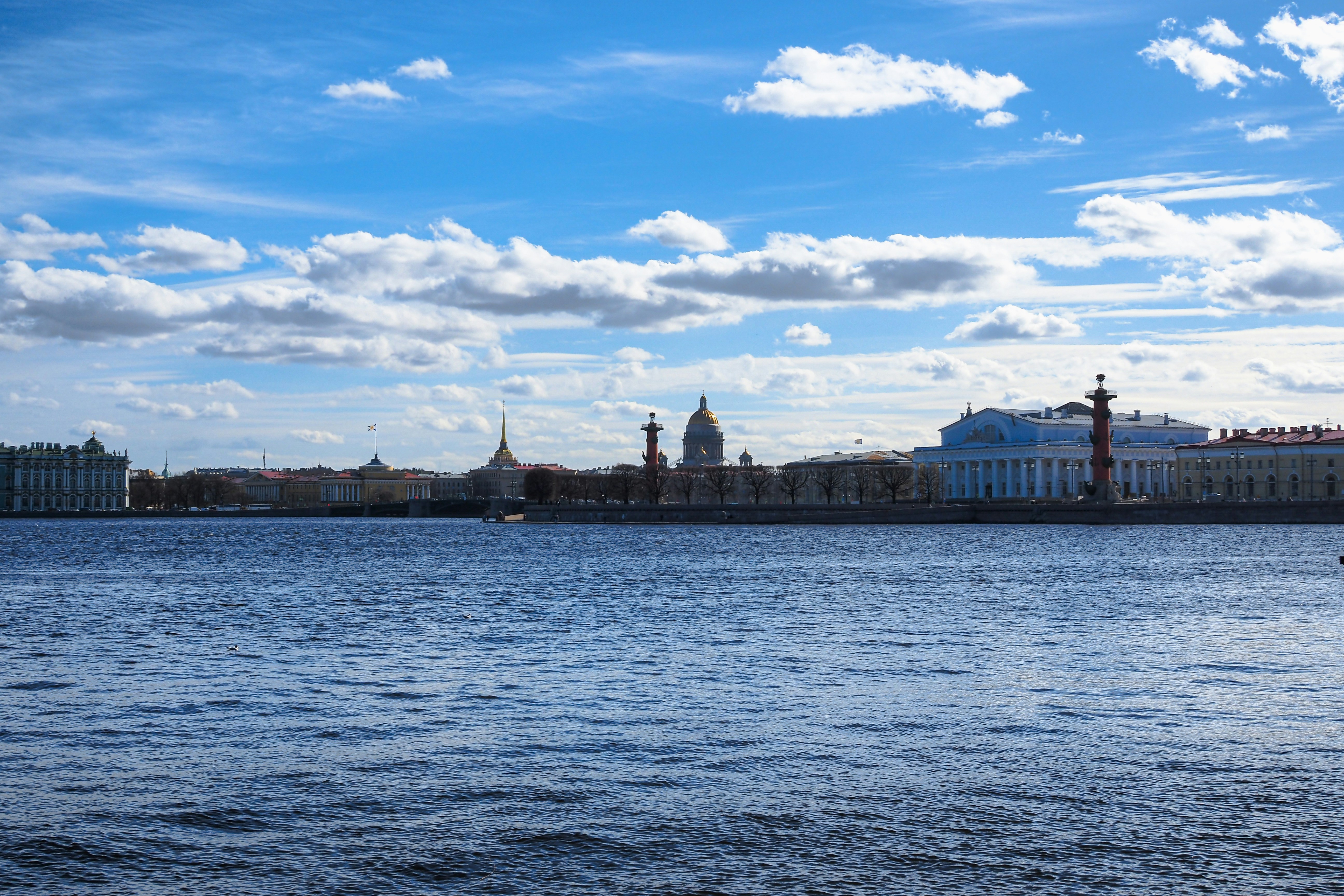 Photo by trofimova_photographer