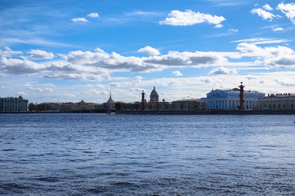 Василеостровский район