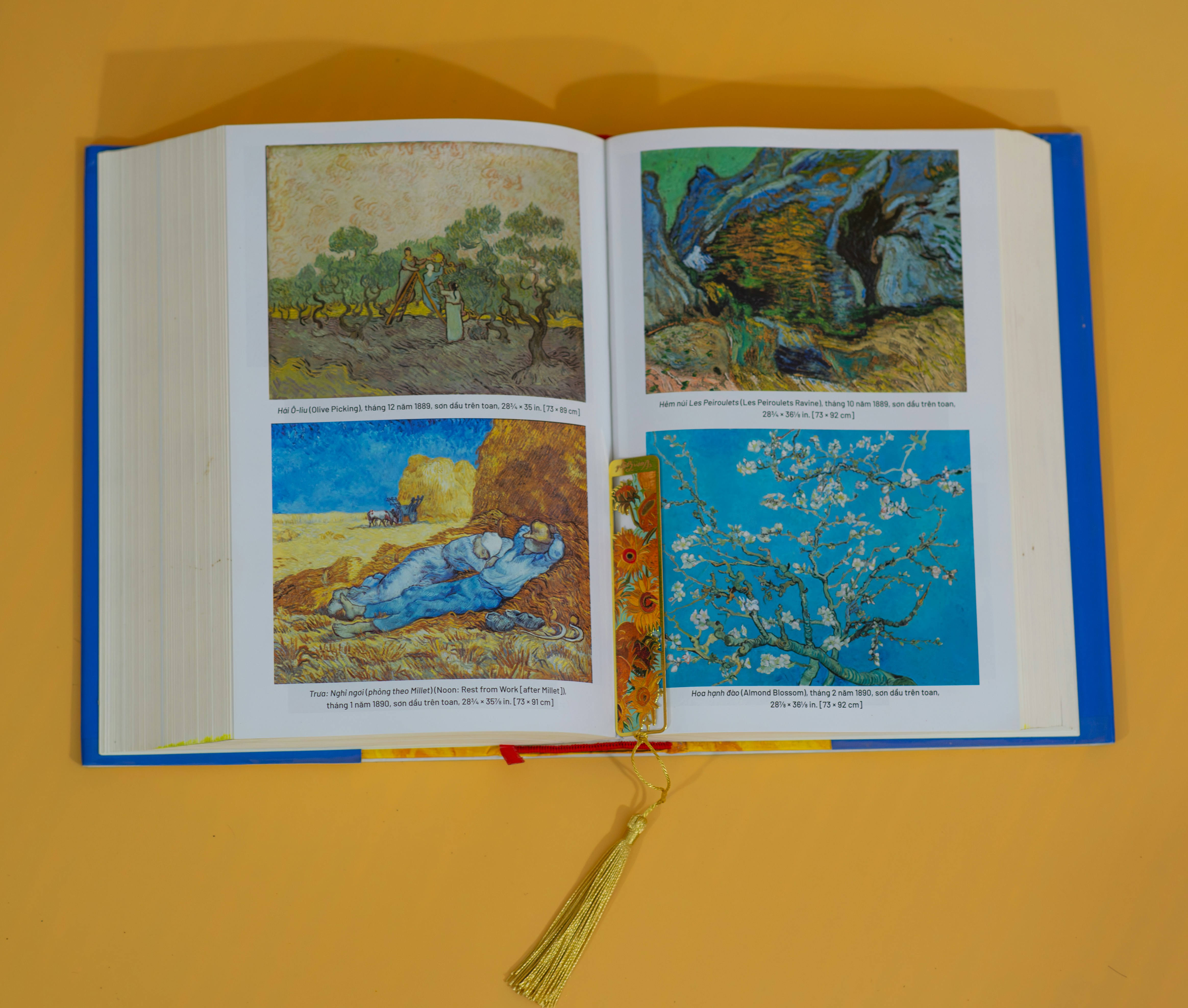 Un libro abierto con imágenes de personas y animales