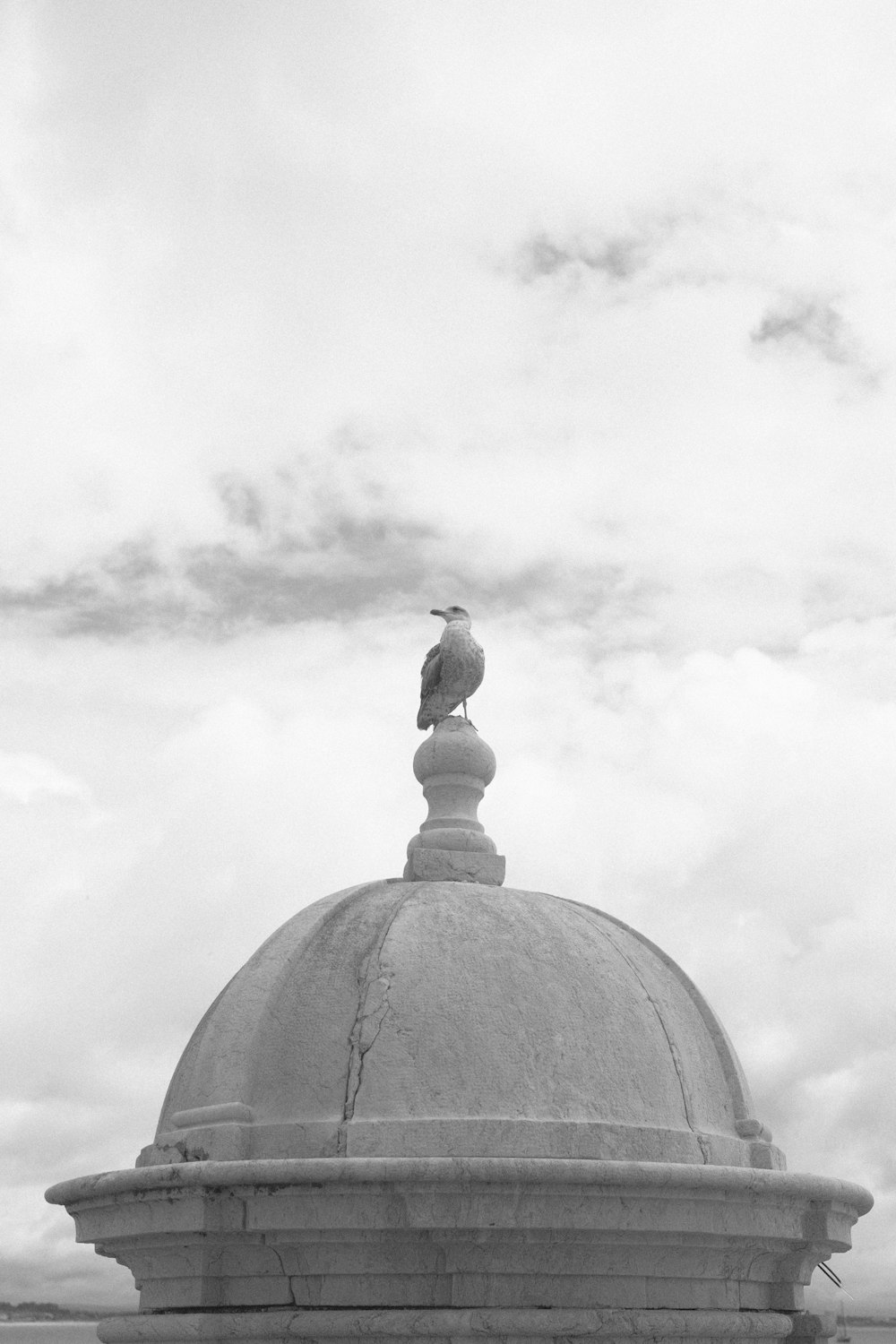 a black and white photo of a bird on top of a building