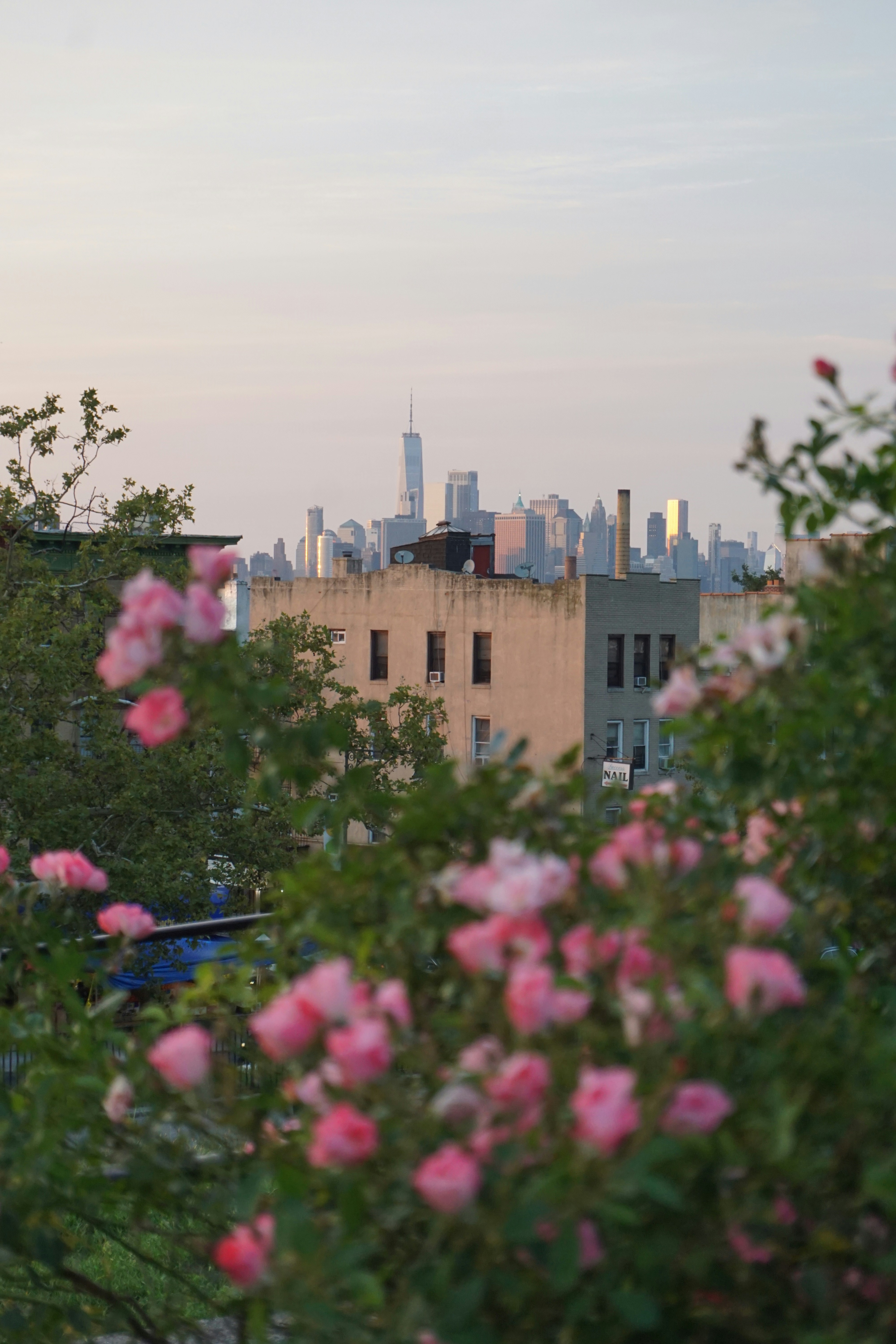 Photo by frolicsomefairy