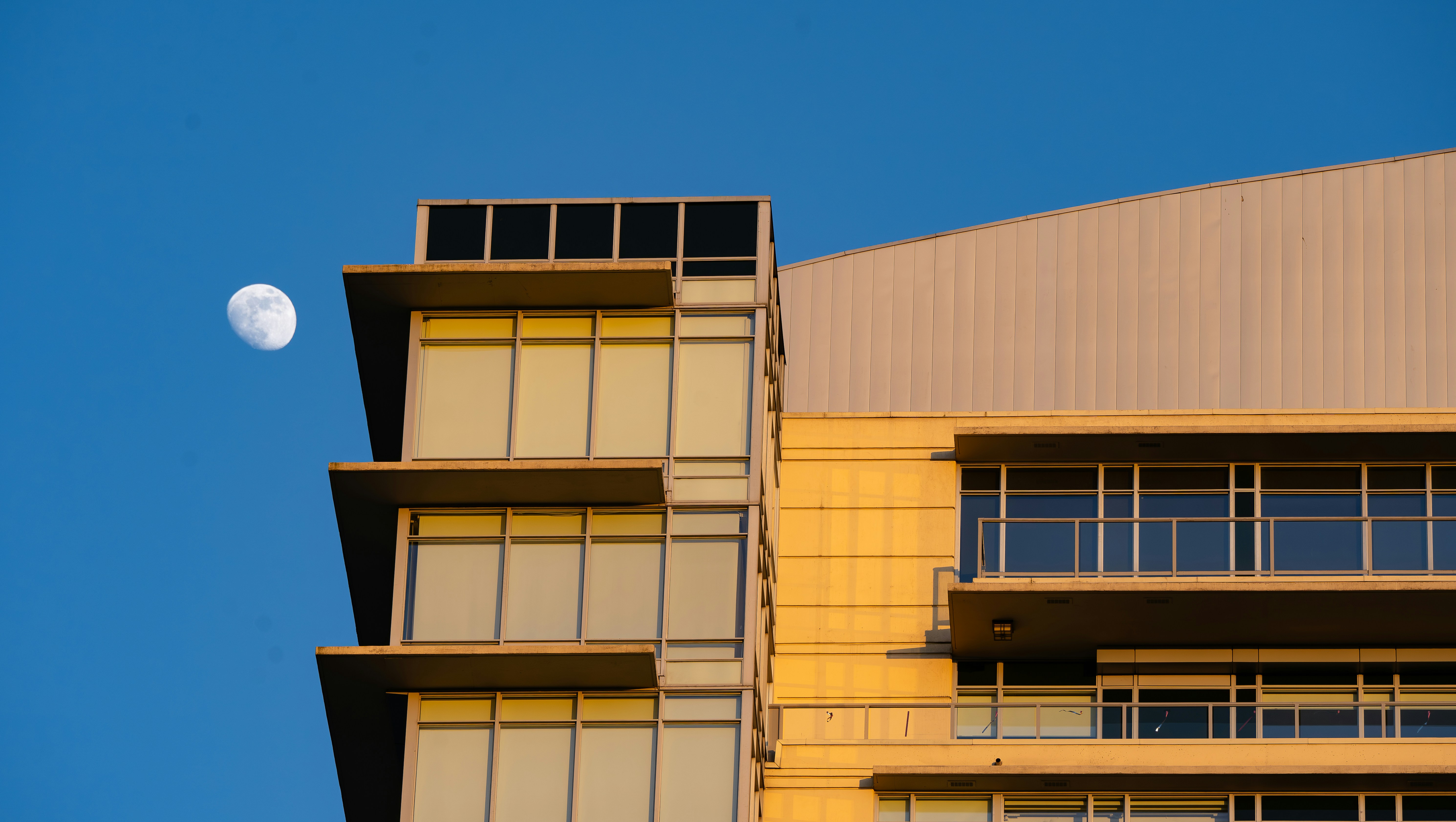 Photo by kayvanmazhar