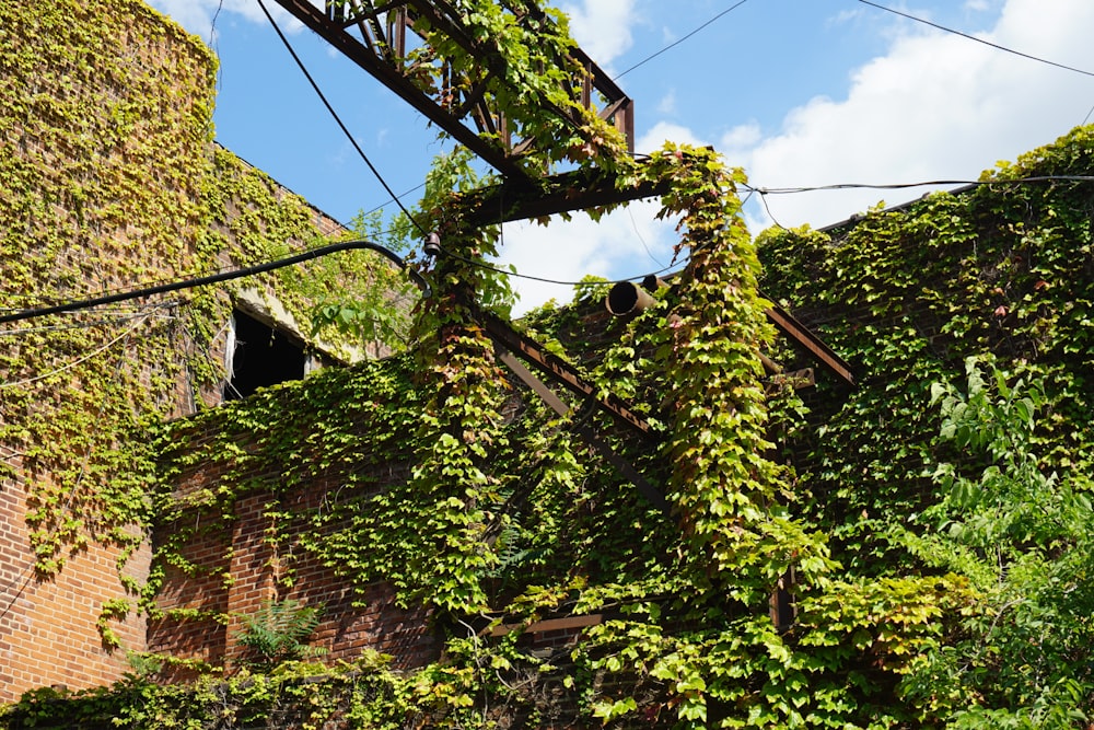 a brick building covered in vines under a blue sky