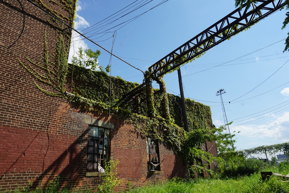 a brick building with vines growing on it